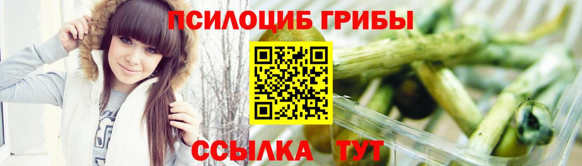 Галлюциногенные грибы Magic Shrooms  Псилоцибиновые грибы Psilocybe  Вход с VPN  Оренбург 